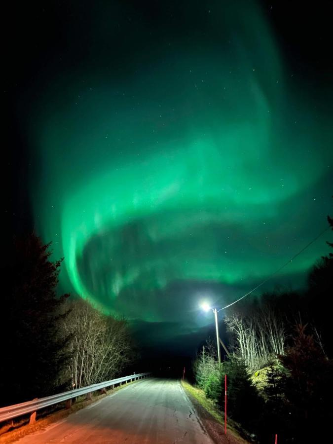 Sydalen House Villa Kleppstad Bagian luar foto