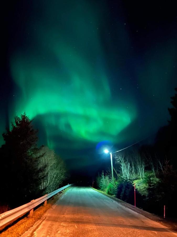 Sydalen House Villa Kleppstad Bagian luar foto